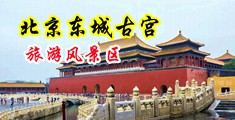 熟女性爱叫床视频中国北京-东城古宫旅游风景区